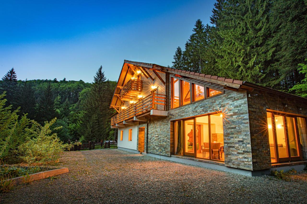 Chiba Chalet Timisu de Jos Exterior foto